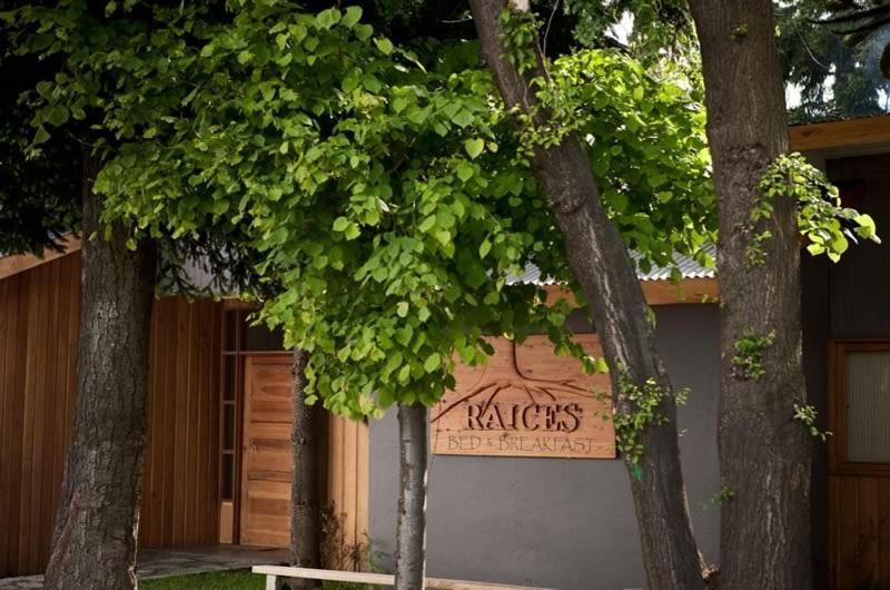 コイハイケ ライセス ベッド&ブレックファースト Bed & Breakfast エクステリア 写真